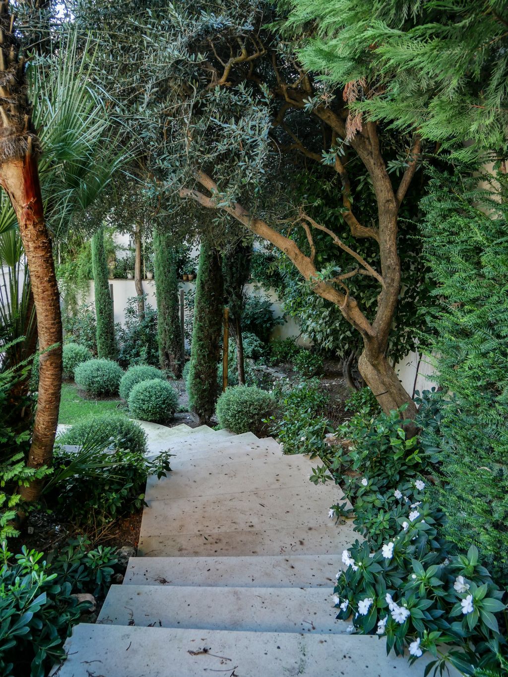 House Renovation Cannes