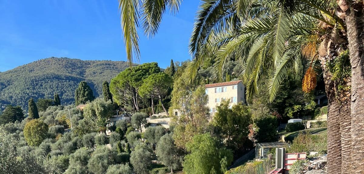 Building Renovation Antibes